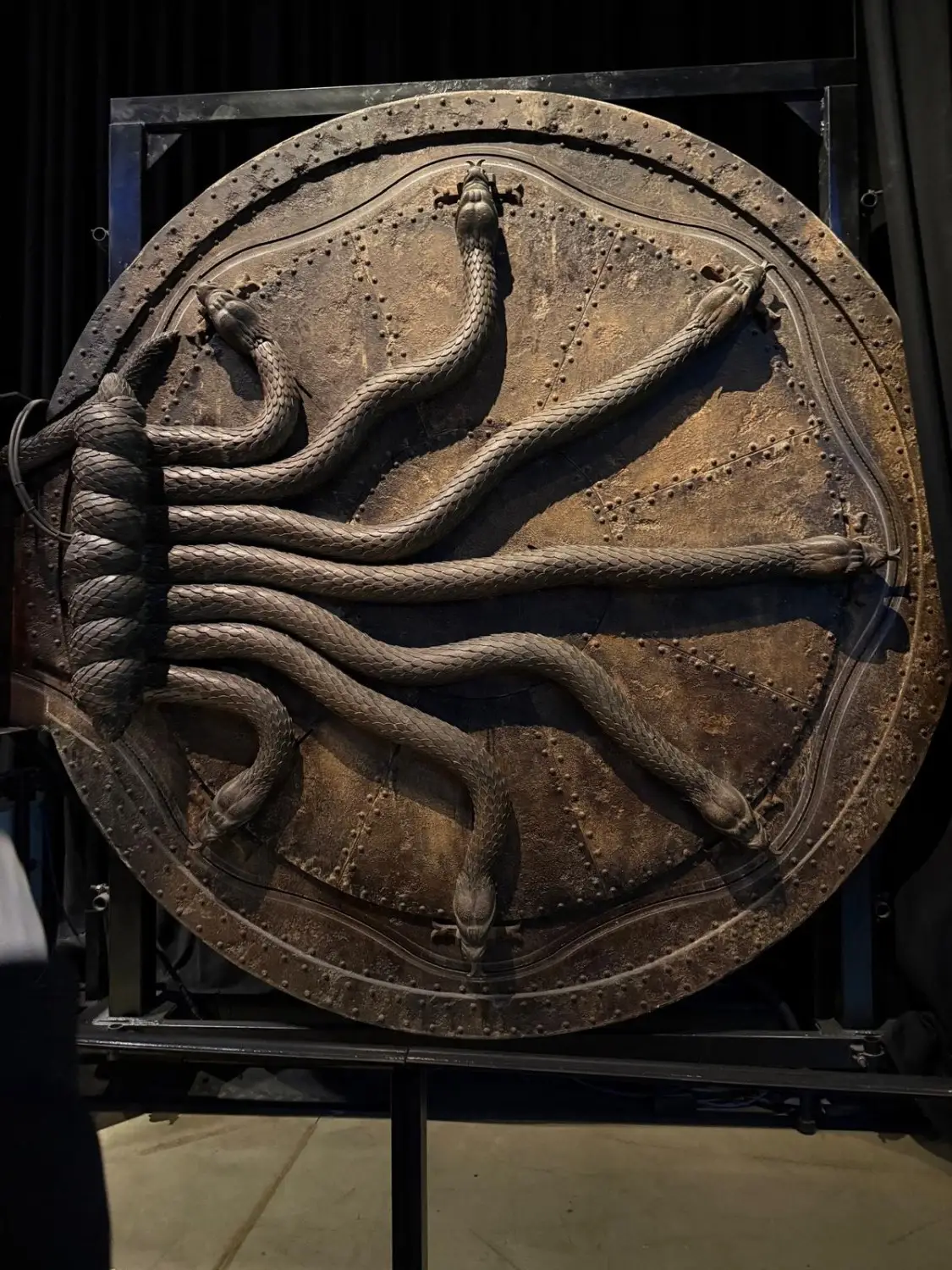 A large circular metal door featuring several sculpted serpents arranged in a spiralling pattern, representing the entrance to the Chamber of Secrets.